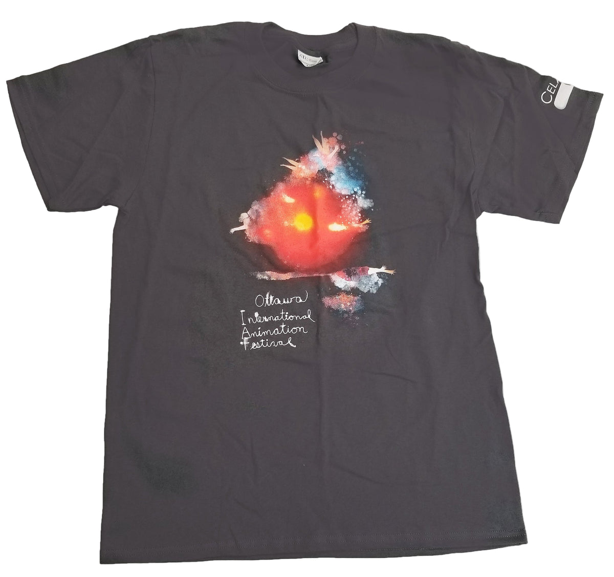 2017 Youth Official T-Shirt (Gray)